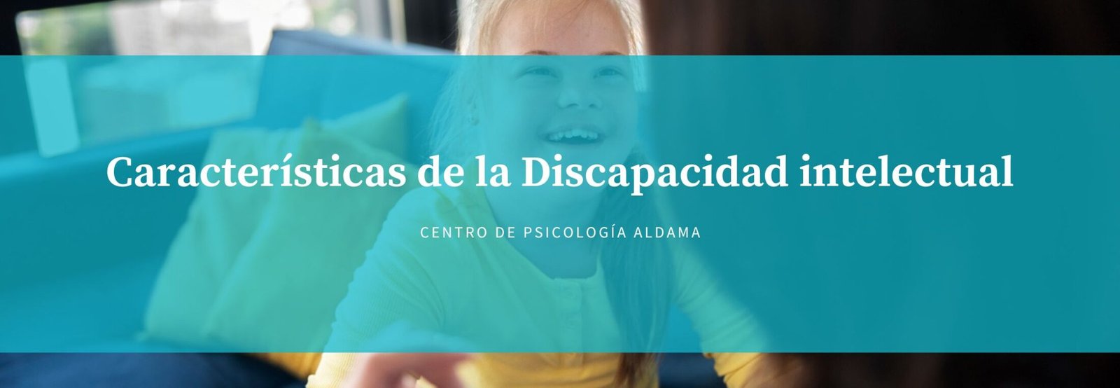 Características de la Discapacidad intelectual