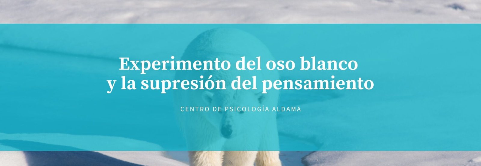 Experimento del oso blanco