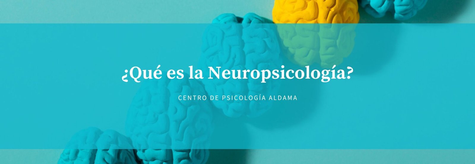 neuropsicologia