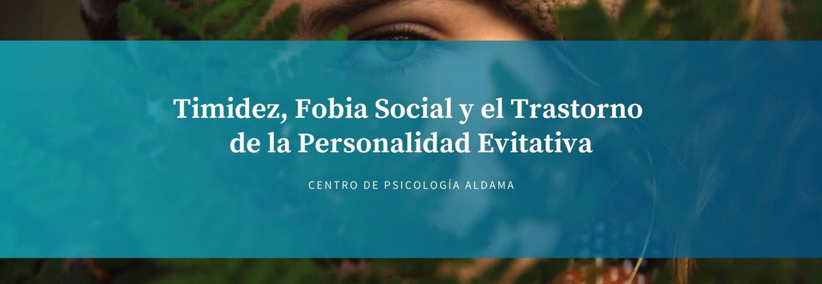 Timidez, Fobia Social y el Trastorno de la Personalidad Evitativa