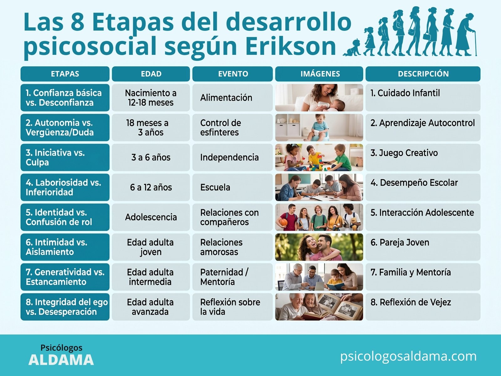 Las 8 Etapas del desarrollo psicosocial según Erikson Etapas del desarrollo psicosocial Erikson