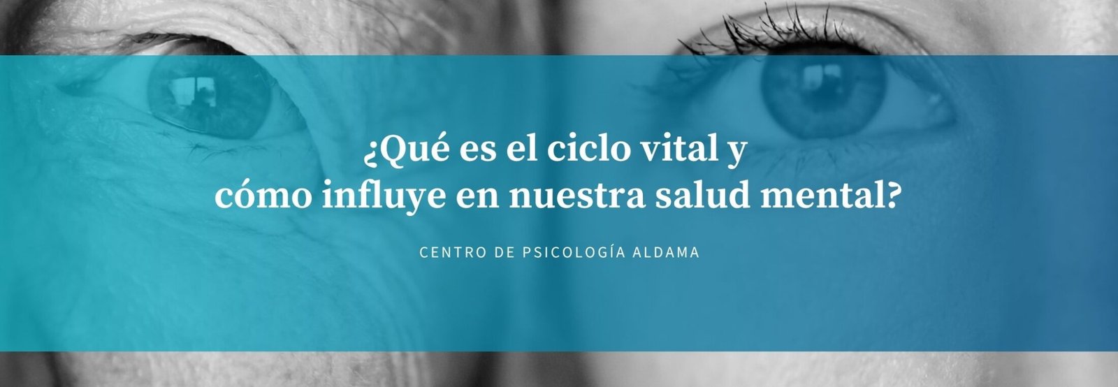 Qué es el ciclo vital