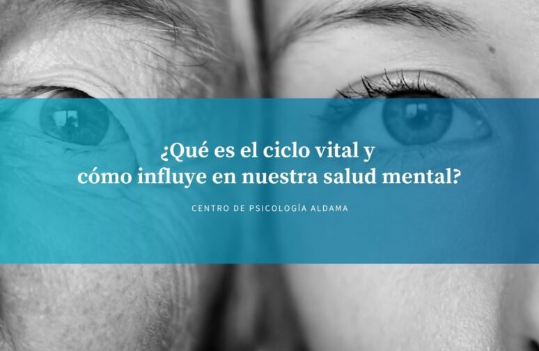 Qué es el ciclo vital