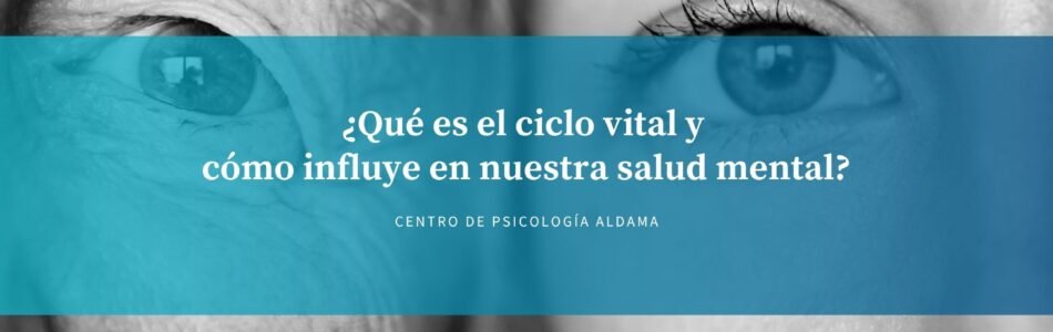 Qué es el ciclo vital