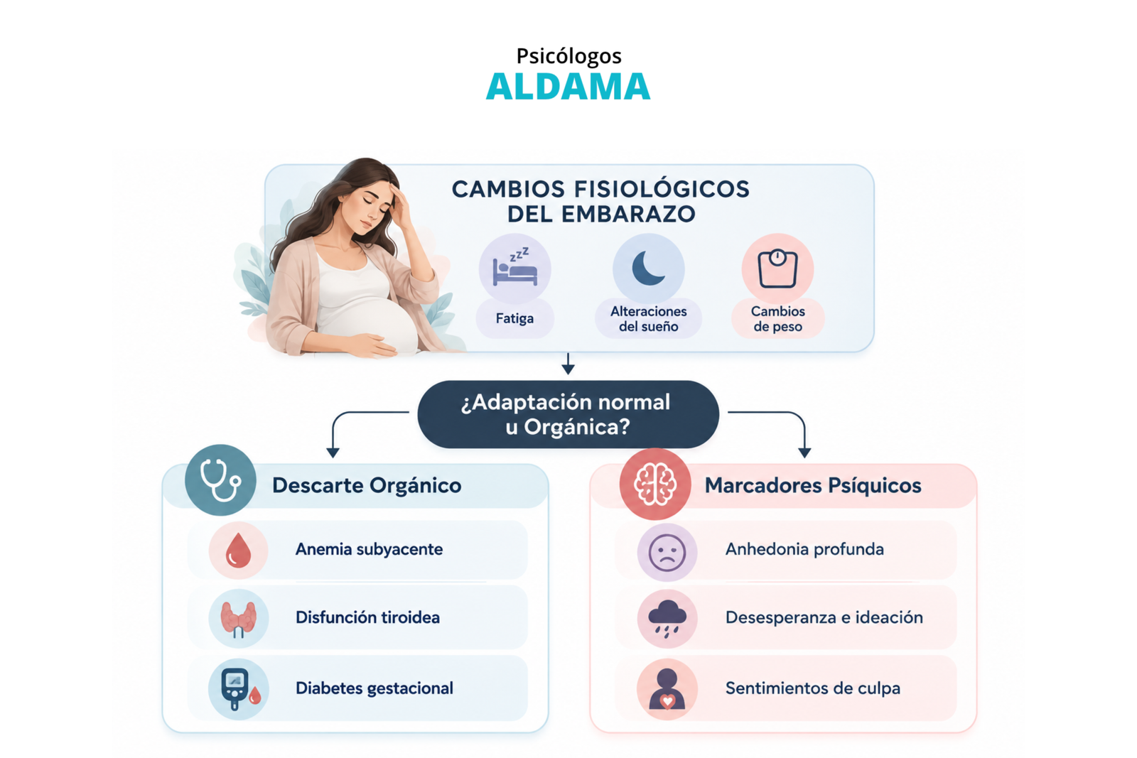 cambios fisiológicos del embarazo
